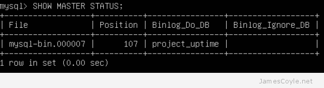 mysql-show-master-status